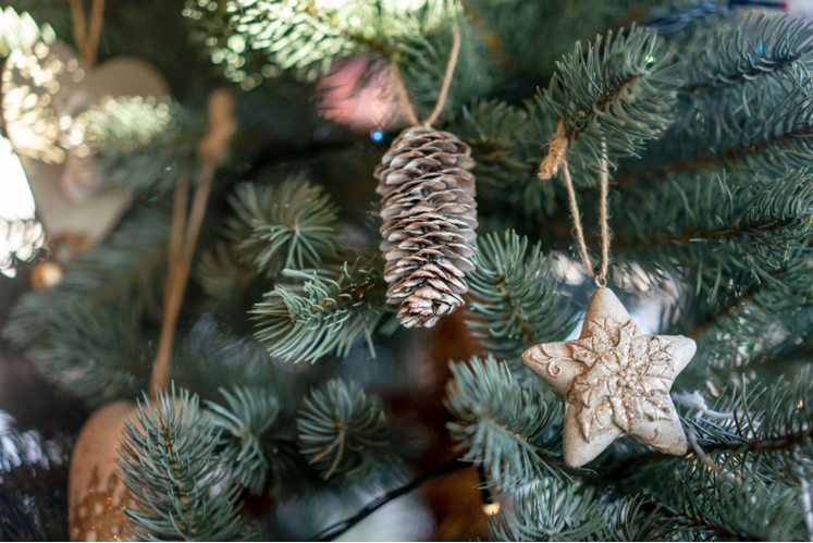 Find Your Perfect Christmas Tree at Our Sale